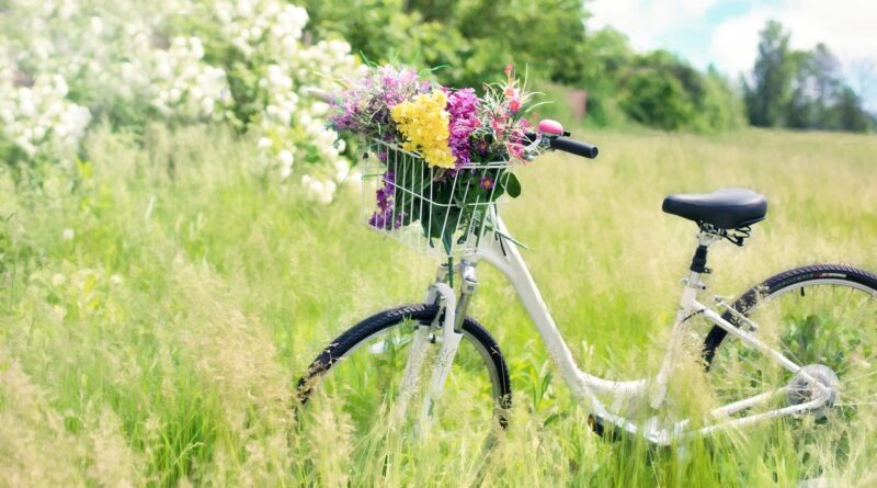 bicycle, meadow, flowers-788733.jpg