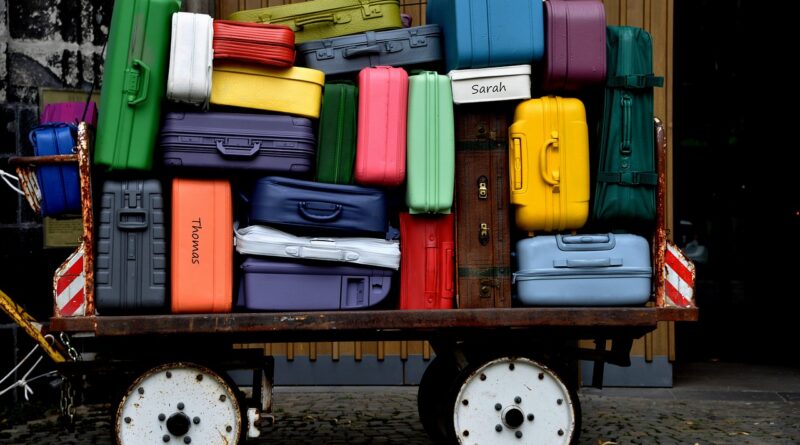 to travel, suitcase, vacations-4933158.jpg